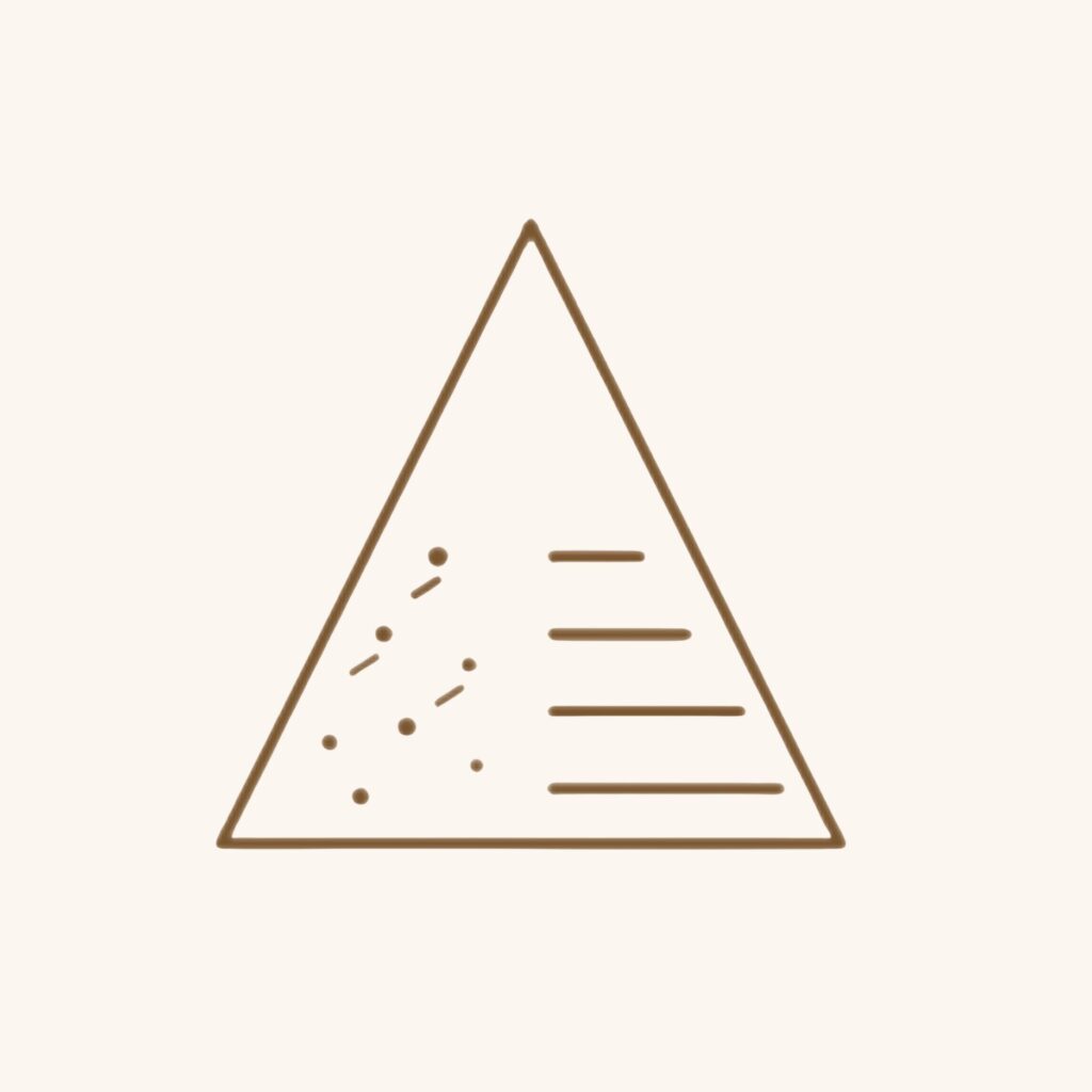 Triangle icon with dots and lines representing skin texture