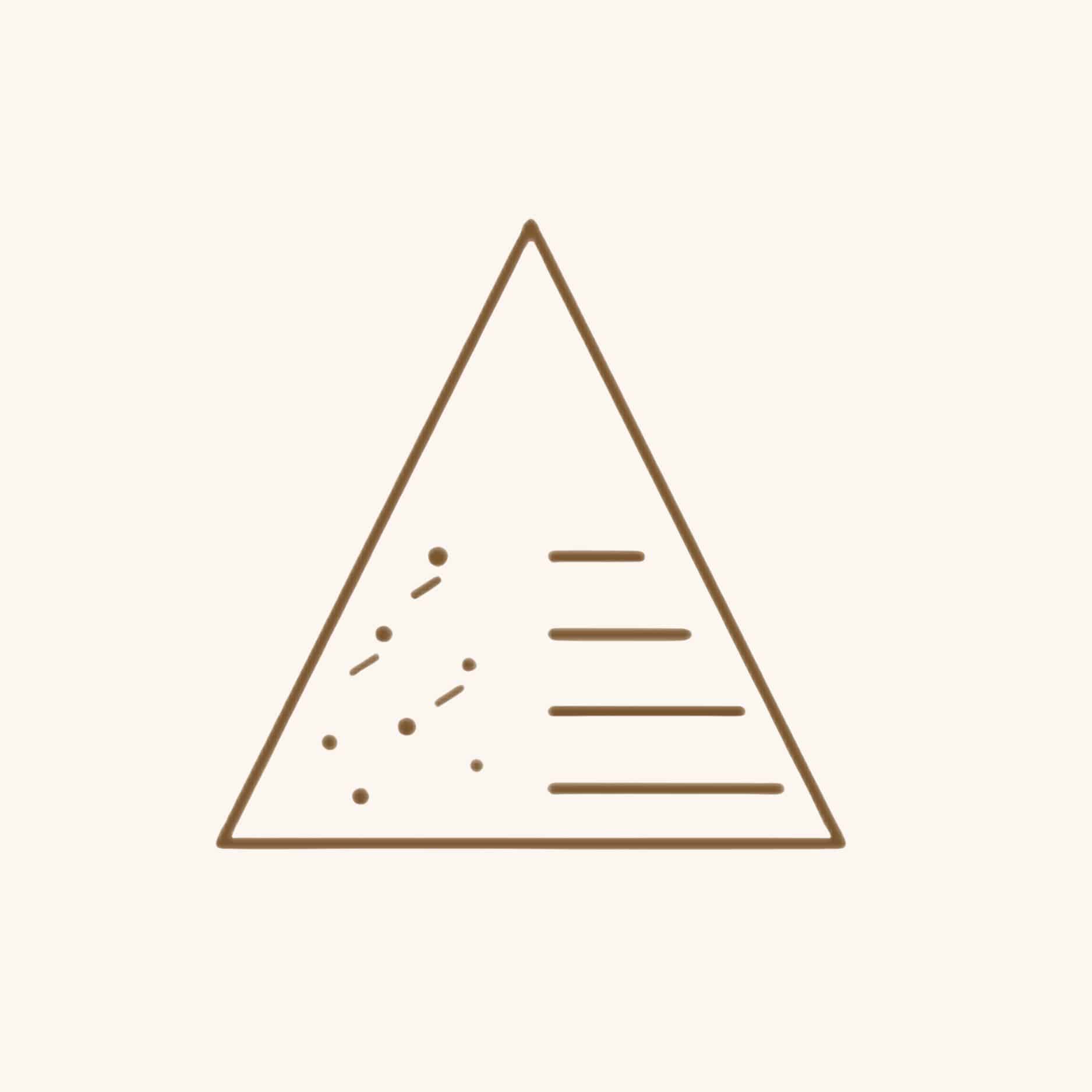 Triangle icon with dots and lines representing skin texture
